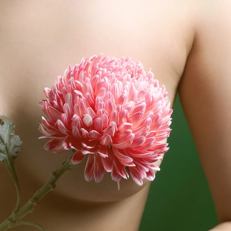 169+ Ảnh Gái Khoe Ngực – Big Breasts: Những “Đường Cong” của Tạo Hóa