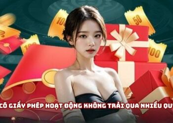 8day Có Giấy Phép Hoạt Động Không? Phân Tích Từ Chuyên Gia