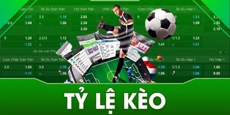 Nhieu ty le keo hoi vien ua thich Tỷ Lệ Kèo Nhà Cái m88 - Tin Tức Sôi Động Tại Khắp Các Trận Đấu Ảnh Được Tài Trợ