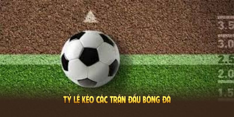 Yeu to anh huong den ty le keo Tỷ Lệ Kèo Nhà Cái m88 - Tin Tức Sôi Động Tại Khắp Các Trận Đấu Ảnh Được Tài Trợ