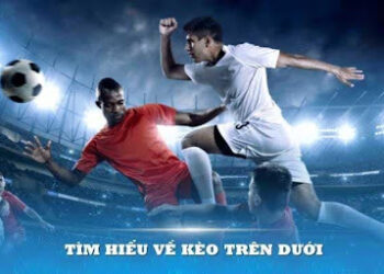 Kèo Nhà Cái – 3 Yếu Tố Quyết Định Khiến Bạn Nên Vào Kèo Dưới