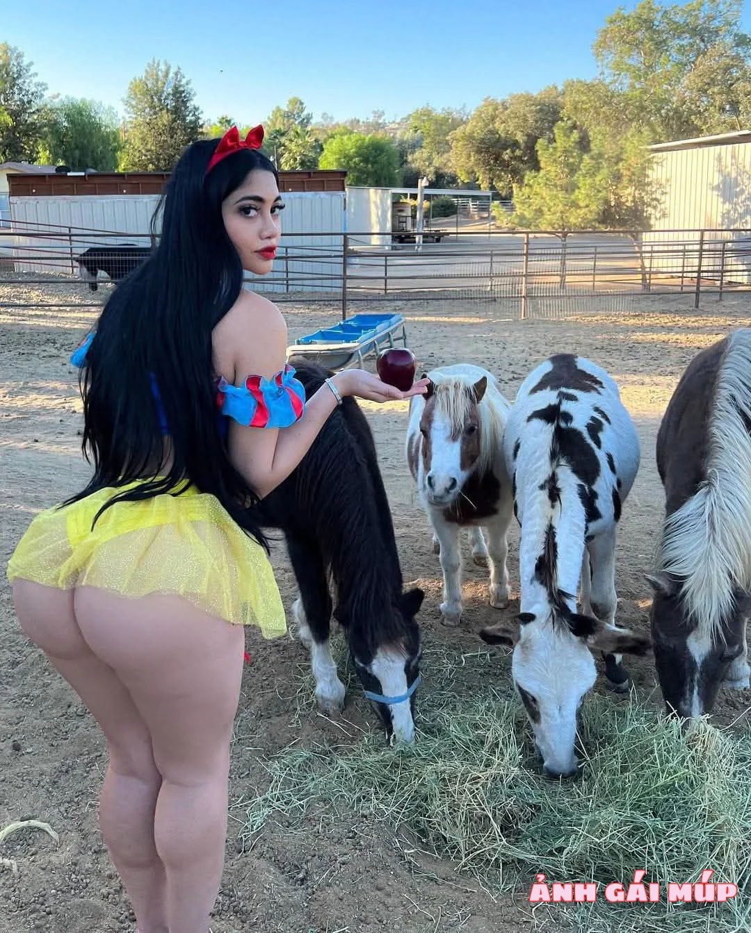 anh gai mup com review anh gai dit long ban 084 400 Ảnh Gái Đít Lồng Bàn: Đường Cong Chà Bá Khiến Anh Em Đứng Hình Ảnh Nóng