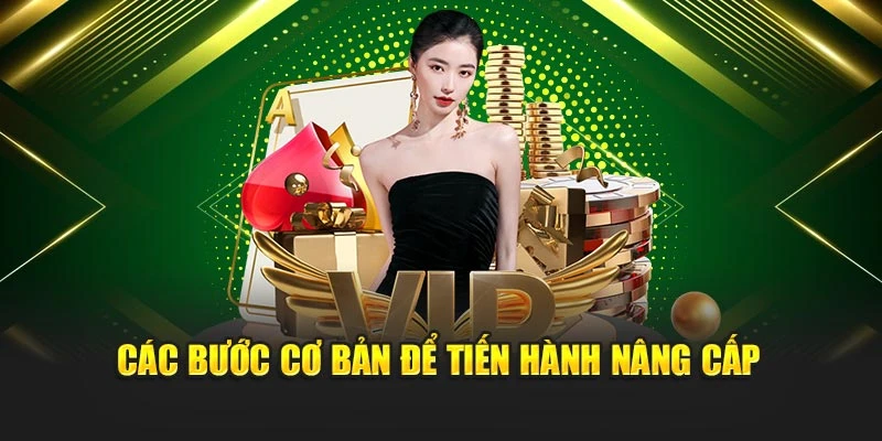 cac buoc co ban de tien hanh nang cap Hướng dẫn nâng cấp tài khoản lên VIP – Ưu đãi nhận không giới hạn Ảnh Được Tài Trợ