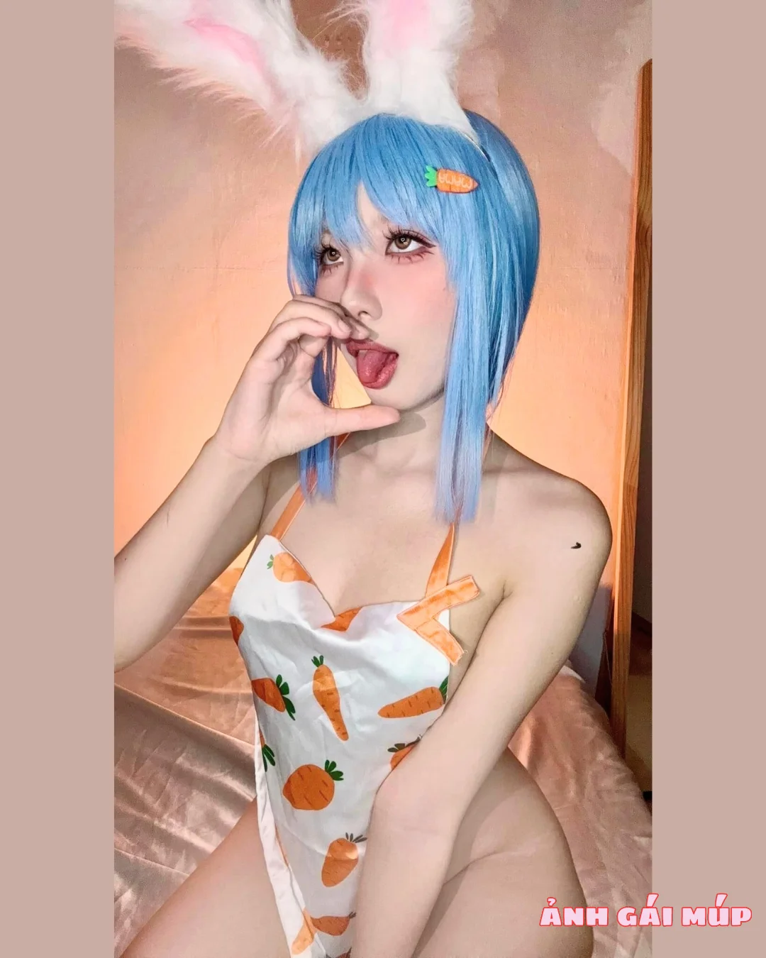 anhgaimup review bo anh gai cosplay tho sexy 086 Gái Cosplay Thỏ Sexy: Tuyệt Tác Đường Cong Phồn Thực Mọng Nước Ảnh Gái Sexy